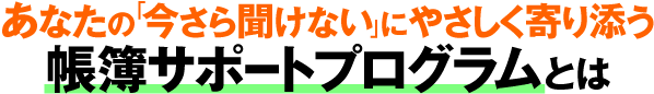 あなたの「今さら聞けない」にやさしく寄り添う「マンツーマン帳簿サポートプログラム」とは